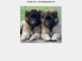 belgianpuppies.com