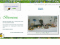 cdf-monceenbelin.com