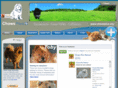 chowsplus.org