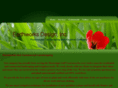 earthworksdesigninc.com