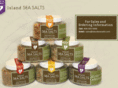 islandseasalt.com