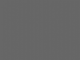 masterycanaria.com