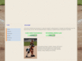 oldschoolsoftball.com