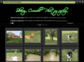 sherrycrowell.com