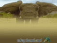 elephantual.com