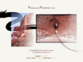 fadingphotos.com