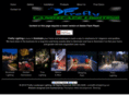 fireflylighting.net