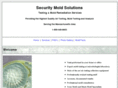 secmoldsolutions.com