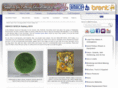 amaco-ncecagallery.com