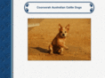 cooroorahcattledogs.com