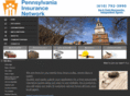 painsurancenetwork.com