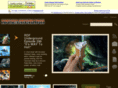 rdfunderground.com