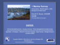 1marinesurvey.com