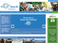 cleanairinstitute.org