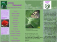 serenityexpressions.com