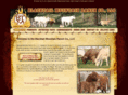 blacktailmountainranch.com