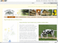 dogfriendlylodges.com