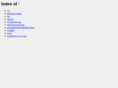 icf-sp.org