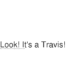 lookitsatravis.com