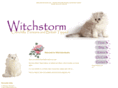 witchstormcats.com