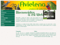 avielena.com