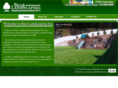 bearlandscaping.net