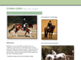 donnalewisriding.com
