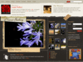 lojart.com