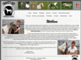 mdrminiaturehorses.com