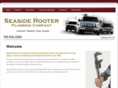 seasiderooter.com