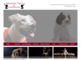 waggingtailspetphotographer.com