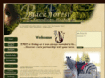 blackforestsaddle.com