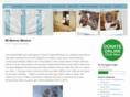 silviaappeal.com