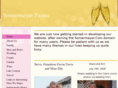 somermeyer.com