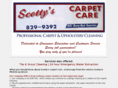 staugustinecarpetcleaning.com
