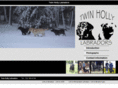 twinhollylabs.com