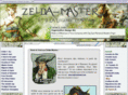 zelda-master.com