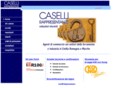 casellisnc.com