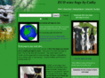 ecowinebag.net