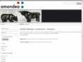 amandea.com