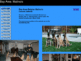 bayareamalinois.com