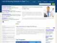 listofnursingschoolsinnewyork.com