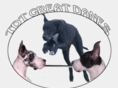 tdtgreatdanes.com