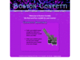 bostonconfetti.com