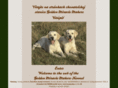 gmmretrievers.com