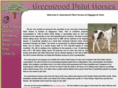 greenwoodpainthorses.com