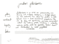 jgildersleeves.com