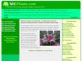 newyorkcityplants.com