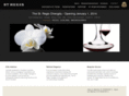 stregischengdu.com
