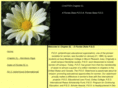 chapter-el.org